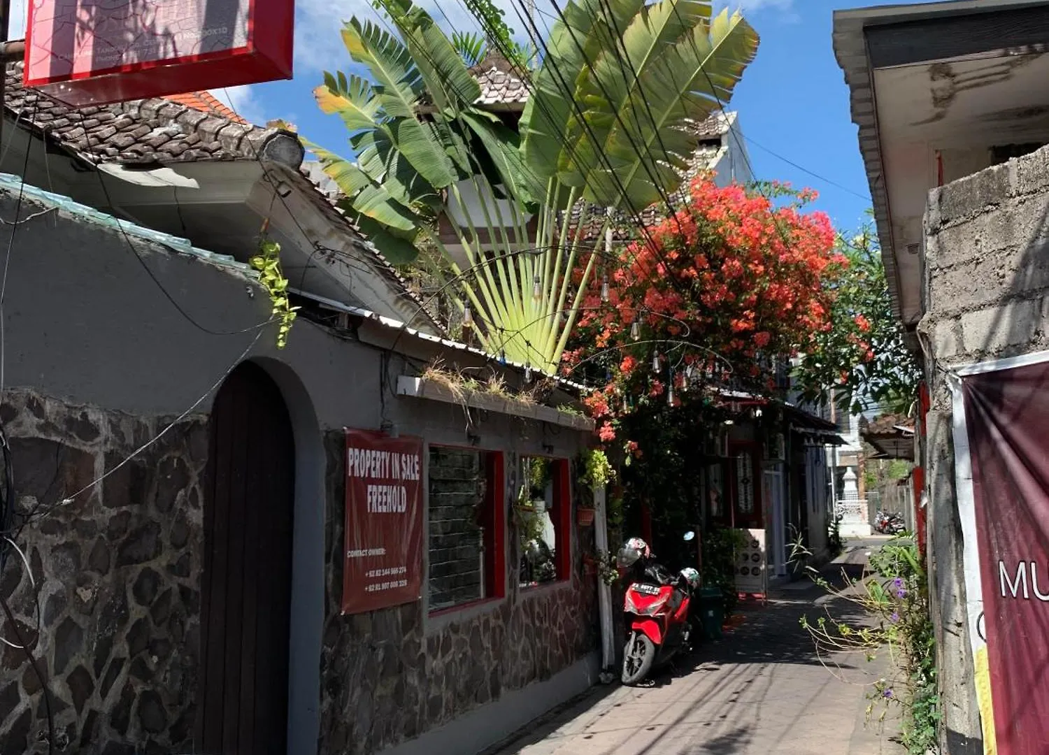 Cosebelle'S Homestay Seminyak  Indonesia